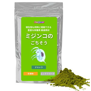 yBeeQuestz~WR̂ 10g ~WR ɑB Ct]A jq _J t a琬 ^Cv {B PSBp\