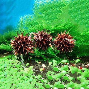 ylO̗UfzZxt{_Ђ ~WotE̎ r[VvɍœK AJtE AJ\SEREmL ^j Eۍp   _ _ _ Vv Gr 