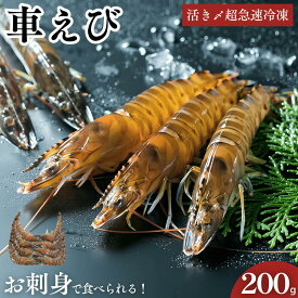車海老 秋穂 【活き〆超急速冷凍】【200g 8尾前後入】 刺身 送料無料 敬老の日 車えび 車エビ BBQ 自宅 自分 活き〆超急速冷凍車えび 焼き エビフライ 塩焼き 山口県 山口市 秋穂 養殖 クルマエビ 渡辺水産 直売所 旬 食べ方 ギフト 産地直送 200g お試し お取り寄せ