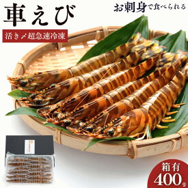 車海老 秋穂 【活き〆超急速冷凍】【400g 12-15尾入】 敬老の日 お刺身 送料無料 贈答 活き〆超急速冷凍車えび 車エビ 焼き フライ 塩焼き 山口県 山口市 秋穂 養殖 クルマエビ 渡辺水産 直売所 旬 食べ方 ギフト 産地直送 お取り寄せ プレゼント エビフライ