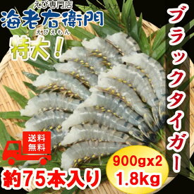 楽天市場 ブラックタイガーの通販