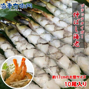 17cm̑^I ksv ՂՂ ubN^CK[ ̂΂ 10  Gr CV L΂CV ̂΂CV L΂ L΂Gr Ⓚ LGr ނ ς 