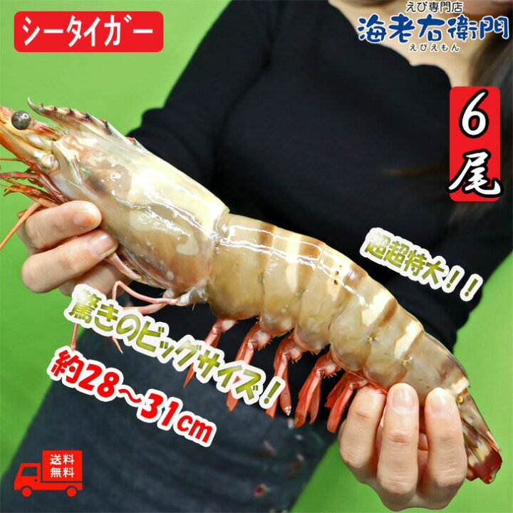 市場 海老すり身500g バナメイエビ エクアドル イカ 冷凍便