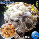アオリイカゲソ1kg 2/4サイズ 柔らかくて甘みが強い！約2〜4個入り アオリイカげそ アオリイカ イカ下足 いか げそ いかげそ 冷凍 冷凍イカ いかの足 イカ足 下足 烏賊 ゲソ唐揚げ イカゲソ串 おつまみ BBQ食材 バーベキュー 塩焼き あげ 唐揚げ ゲソ天 BBQ 魚介類 業務用
