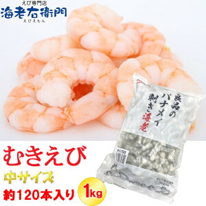 ǕĩoiCނ ^TCY 41/50TCY 1kg 120{Bo LGr  ނCV Ⓚ CV т Gr} st pX^ Z Ɩp