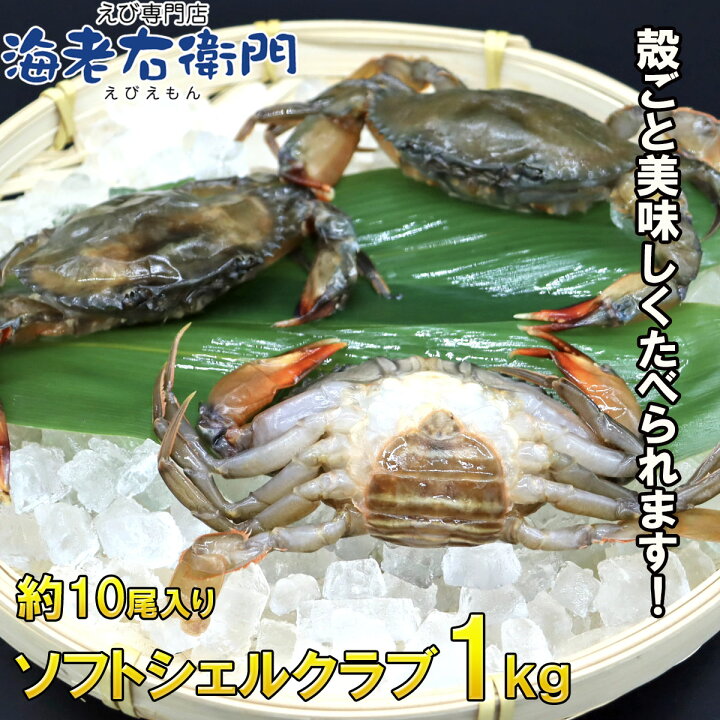 楽天市場 柔らかい殻のカニを丸ごといただく ソフトシェルクラブ 1kg栄養がぎゅっと詰まった脱皮直後のカニを とても美味しい状態で漁獲しています カニ 蟹 バラ凍結 殻のまま えび専門店 海老右衛門