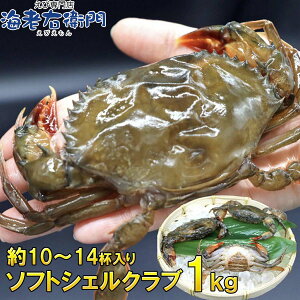 \tgVFNu 1kgi10`14tj1t70g`100g E璼̏_炩I ۂƐHׂⓀJj o Ɩp Jj I Ⓚɉh{Ƌl܂E璼̃JjAVN