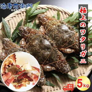 ���X����I�ɏ�̃��^���K�j �C150-200g 5kg (1kg��6-7�C)���X �N�x�����̃X�������J�Y���X���^���K�j�I�C�^���A�� �؍����� �J���W�����P�W�����ɂ��l�C �p�X�^ �J���[ �`���N���u �킽�肪�� 