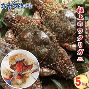 ���X����I�ɏ�̃��^���K�j �C200-300g 5kg (1kg��4-5�C)���X �N�x�����̃X�������J�Y���X���^���K�j�I�C�^���A�� �؍����� �J���W�����P�W�����ɂ��l�C �p�X�^ �J���[ �`���N���u �킽�肪�� 