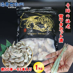 Ղ̊CV(R)  26/30TCY C[W[s[h o 1kg 50`65 w^Ȃ Gr Ⓚ w킽  CV oiCGr CV  Gr CV Gr Ⓚ CN