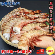 超超超特大サイズ 約16尾～24尾入り 4/6サイズ天然シータイガー 無頭えび 1.8kg無頭 えび エビ 海老 シー…