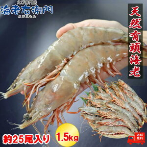 VR LCV 1.5kg 25 20cm LGr  t[ CV Gr  L  Ⓚ  ⓀGr Ⓚ   GrtC 傫 CNĂ   VRGr VRG