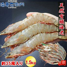 天然 有頭海老 1.5kg 35尾 長さ17cm級!有頭エビ 特大 海老 エビ 有頭 巨大 フラワー 冷凍 えび 高級 美味しい エビフライ 大きい 海鮮 お取り寄せ 天然エビ 冷凍エビ 冷凍えび 天然エビフライ 有頭エビフライ バーベキュー bbq 食材 天ぷら ギフト 業務用食材 業務用