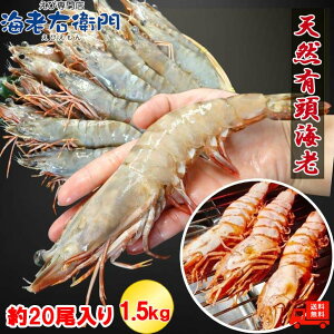 VRLCV 1.5kg 20 20cm CV Gr t[CV  Ⓚ  ԃGr t[Gr Ⓚ Gr CV VR ⓀGr Ԃ  bbq H S o[xL