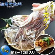 【当店直輸入】アオリイカゲソ 1kg（約8〜12個入り）やわらかく甘みの強い イカ下足 アオリイカ ゲソ い…