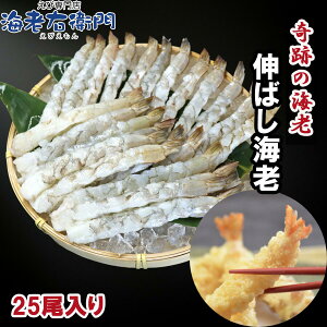 L΂CV 16/20 TCY 25Ղ̊CVĝ΂і16cm  ς Gr w킽Ȃ CV ⓀGr ⓀCV ނCV ނGr w^Ȃ ނ oiCGr Ⓚ G