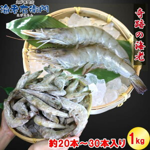Ղ̊CV(R) L o 1kg  20/30 20`30 oiCGr  Gr  Ⓚ L kt CV V ⓀGr Ⓚ ktGr CV 傦 CV o[xL[ S