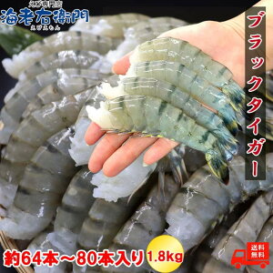 TCY 64{`80{ 16/20TCY Y ubN^CK[  1.8kg Ⓚт Gr CV   Ⓚ  傫 Gr CV ⓀGr CN o[xL[ ⓀCN Gr 