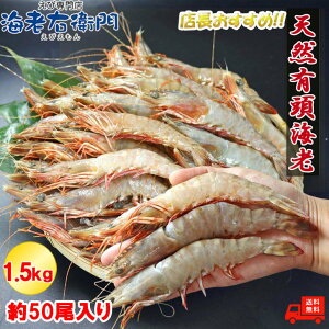 VR LCV 1.5kg 50 16cmI CV t[ Gr L Ⓚ LGr   Ⓚ  CN ⓀGr ԃGr N}Gr VRGr CV S o[xL[ VՂ ѓV