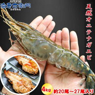 天然オニテナガエビ 超超特大サイズ 約20尾～27尾入り 150/200gサイズ 4kgです。 業務用 アジアンロブス…