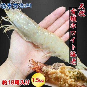 VRLCV 18 1.5kg 22cmI CV Gr zCgCV 󏭃zCgGr Ⓚ  Ⓚ Gr CV  bbq H S o[xL[ CNʔ GrtC Ă