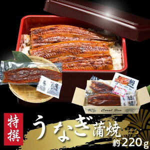 y傤ȂĂ 220g×1zɏɂق񂤂Ȃ̊ {iW|jJj^ARt Hق100%IV R͊ Ș ȏd Ђ܂Ԃ 芪  V̊ V