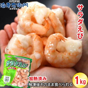 𓀂邾łHׂ T_  16/20TCY 1kg i50`70j{Cς Z  Vv CV Ⓚ Gr ނ LGr {Cނ Ⓚނ 