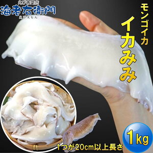 CVEq yAiłIz XJ SCJ~~ 20cmȏTCY 1kg SECJ bCJ CJ Ⓚ ݂ ⓀCJ g VՂ  b ܂ V 