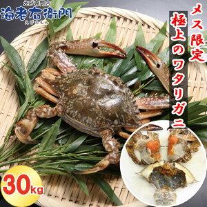 メス限定!極上のワタリガニ 匹200-300g 30kg おまとめでお得!1kgあたり約4-5匹 メス 鮮度抜群!イタリアン 韓国料理 カンジャンケジャンにも人気 パスタ カレー わたりがに ワタリガニ 渡り蟹