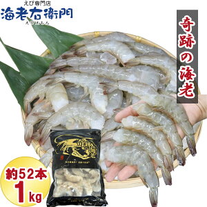 Ղ̊CV(R)  o 1kg  21/25TCY 46[56 Y oiC Gr Gr   CV Ⓚ CV Gr Ⓚ  kt  BBQ CNo[xL[ G