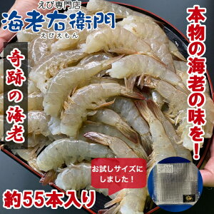 エビ 無頭エビの人気商品 通販 価格比較 価格 Com