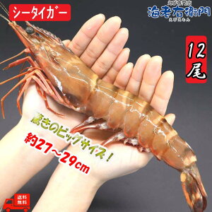 IVRLV[^CK[ 1.5kg 12TCY 125g/ 䂤Ƃ CV Gr 傫 Ⓚ o[xL[ GrtC LGr CV ⓀGr   V[^CK[ 