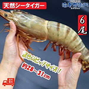 yXAIz VRLV[^CK[  1.5kg 6 250g/ Gr Xő  L CV CN Gr 傫 Ⓚ o[xL[ LGr Gr CNo[xL[ C