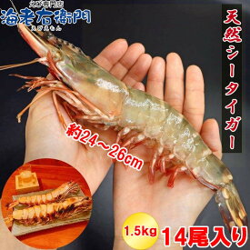 【当店直輸入！】超超特大！天然有頭シータイガー えび 1.5kg 14尾サイズ 特大 ブラックタイガー 殻付き 海老 巨大 エビ 頭 大きい 種類 高級 美味しい 冷凍エビ 冷凍えび 有頭エビ えび冷凍 から付きエビ スリランカ 超超特大エビフライ バーベキュー 送料無料 業務用