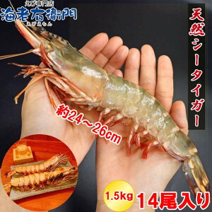 yXAIzIVRLV[^CK[  1.5kg 14TCY 107g/  ubN^CK[ kt CV  Gr  傫   ⓀGr Ⓚ LGr ї