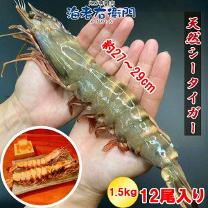  VRLV[^CK[  1.5kg 12TCY 125g/  V[^CK[ CV ktGr L Ⓚ kt  CN Ⓚ o[xL[ Gr BBQCN  H  傫