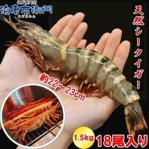 yXAIzIVRLV[^CK[ 1.5kg 18TCY 83g/  ubN^CK[ 䂤Ƃ CV Gr 傫 Ⓚ XJ o[xL[ GrtC LGr 
