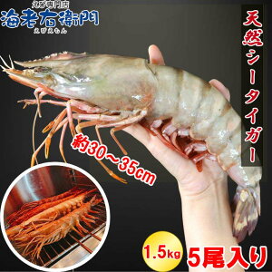 yXAIz VRLV[^CK[  1.5kg 5 300g/ Gr Xő  L CV CN Gr 傫 Ⓚ LGr Gr CNo[xL[ CNBBQ 