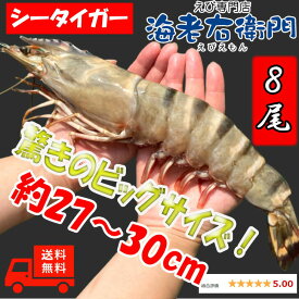 楽天市場 シータイガー エビ 魚介類 水産加工品 食品の通販