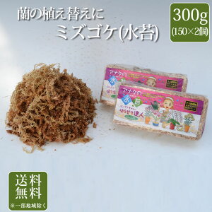 �Ӓ����p�~�Y�S�P(����) 300g(150g×2��) �������� �`���Y����5�X�^�[�O���[�h �����^�C�v�y�A�i�^�̐��� �������������̐A���ւ��B�l�z �y�~�Y�S�P ���� ���S�P �A���ւ� �A������ �����h�~ 