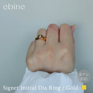 VOlbg CjV_CO / Goldbw O  T[WJ XeX Vv ؚ ςȂ d˒ A Ή 316L ϐF Â炢 l  v[g