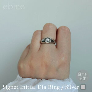 VOlbg CjV_CO / Silverbw O  T[WJ XeX Vv ؚ ςȂ d˒ A Ή 316L ϐF Â炢 l  v[