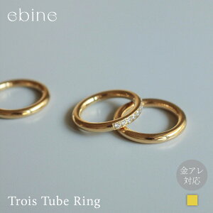Trois Tube Ringbw O  T[WJ XeX fB[X Vv ؚ ςȂ d˒ A Ή 316L ϐF Â炢 l  v[g Mtg ebine Gr