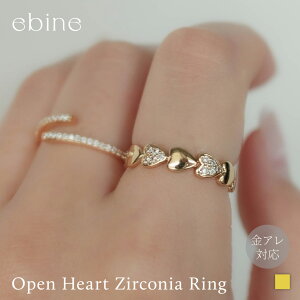 Open Heart Zirconia Ringbw O n[g I[vO  LL WRjA_C T[WJ XeX fB[X Vv ؚ ςȂ A Ή 316L ϐF Â炢 