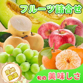 【お中元・ギフトに】旬のフルーツ詰合せ 果物詰め合わせ フルーツギフト フルーツセット 詰め合わせ 豪華セット のし無料｜産地直送／季節の果物セット／贈答用／お祝い／敬老の日／お供えにも