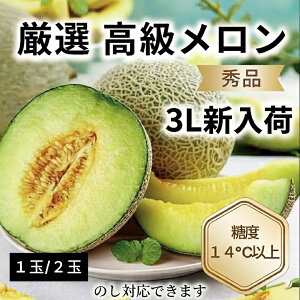 高級 アールスメロン」の人気商品一覧・価格比較 - 価格.com