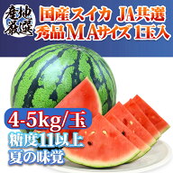＼スーパーSALE半額＋5倍ポイント！／すいか 国産 秀品 MA規格以上 4kg-5kg 家庭用 大玉サイズ スイカ 贈…