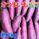【最安値挑戦！楽天1位】さつまいも 3KG/5KG 訳あり品　紅はるか 紅東 栗かくや 或いはシルクスイート サツマイモ 焼…