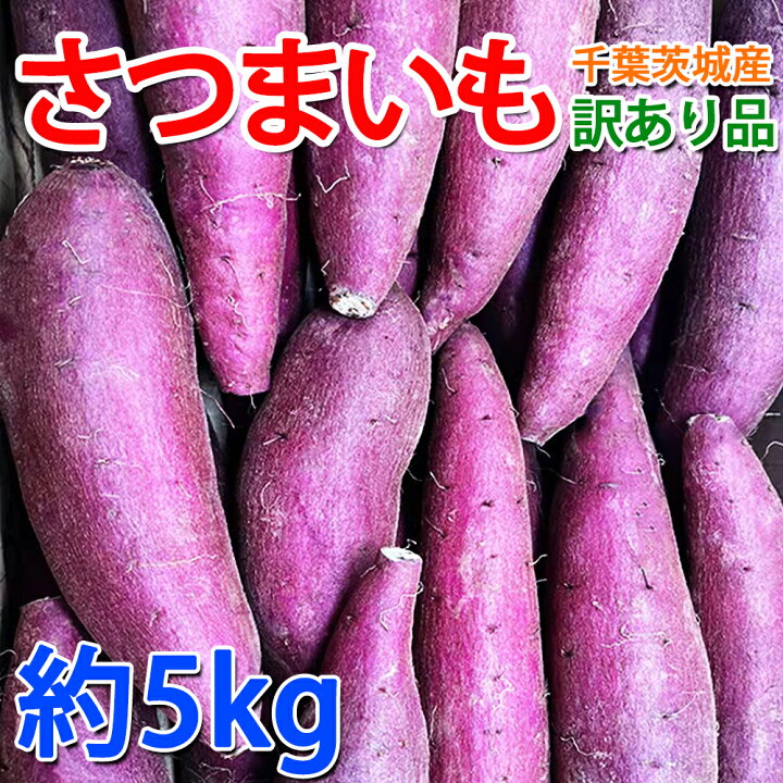 シルク5本栗かぐや5本パープル5本 （シルクスイート」と話題の新品種 