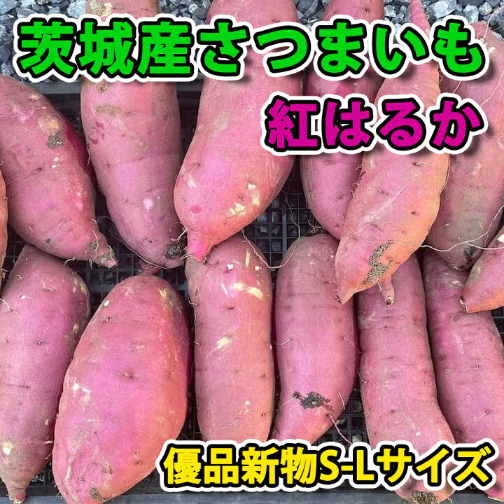 楽天市場】【産地より直送】さつまいも 紅はるか 5kg 千葉茨城県産 大 